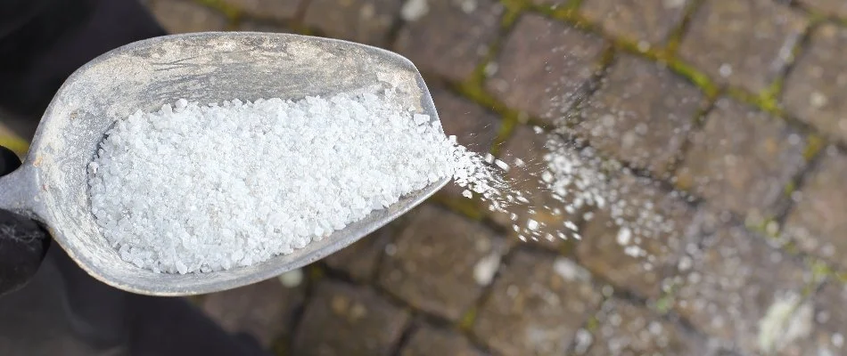 Spreading deicing treatment on pavers in Macungie, PA.