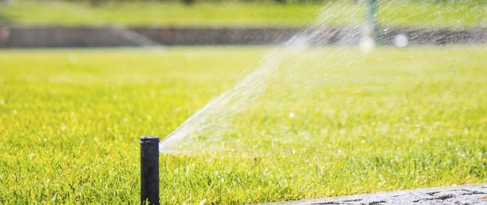 Sprinkler head watering a lawn in Macungie, PA.