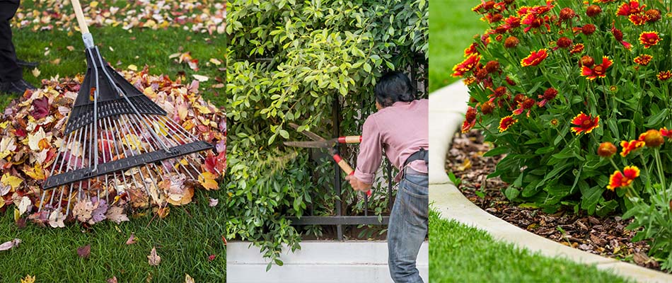 Picture of fall yard cleanup options that can be available