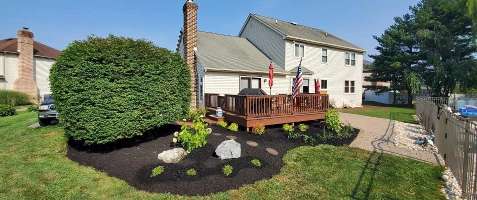 Black mulch in a landscape bed on a property in Macungie, PA.