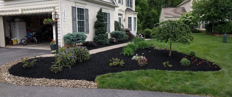 Black mulch in landscape bed with rock border in Macungie, PA.