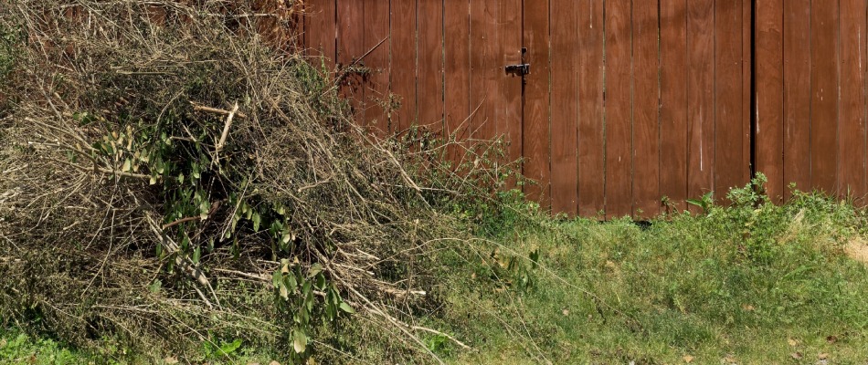 Spring Yard Cleanups Aren’t Just About Your Property’s Curb Appeal ...