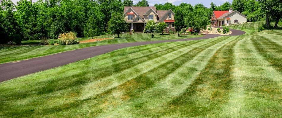 Dense green grass in Gilbertsville, PA, with mowing pattern.