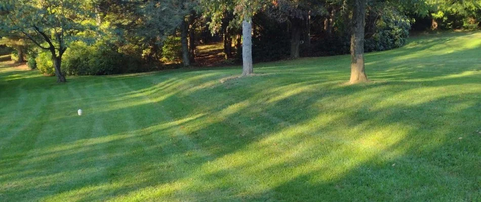 Green lawn with trees in the background on a property in Macungie, PA.
