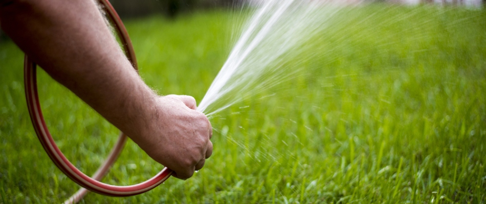 Hand watering new lawn in East Greenville, PA.