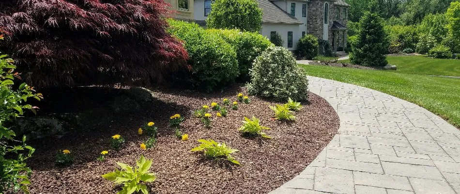 Landscape bed near walkway filled with plants in West Easton, PA.