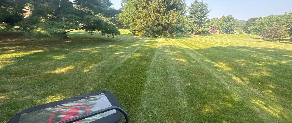 Large lawn in Wilson, PA, with mowing stripes.