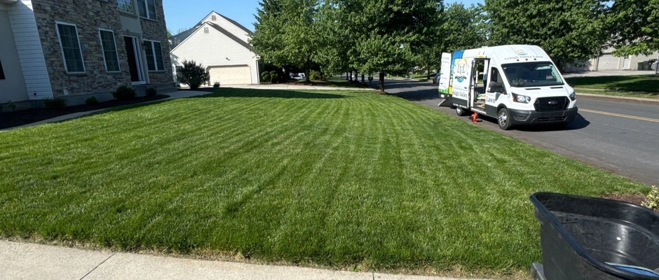 Liquid weed control being sprayed onto a lawn near East Greenville, PA.