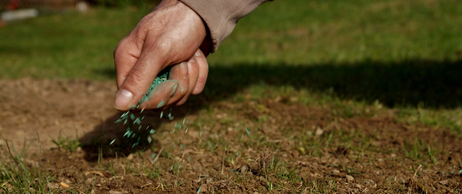 Lawn care professional sowing grass seeds on a lawn near Allentown, PA.