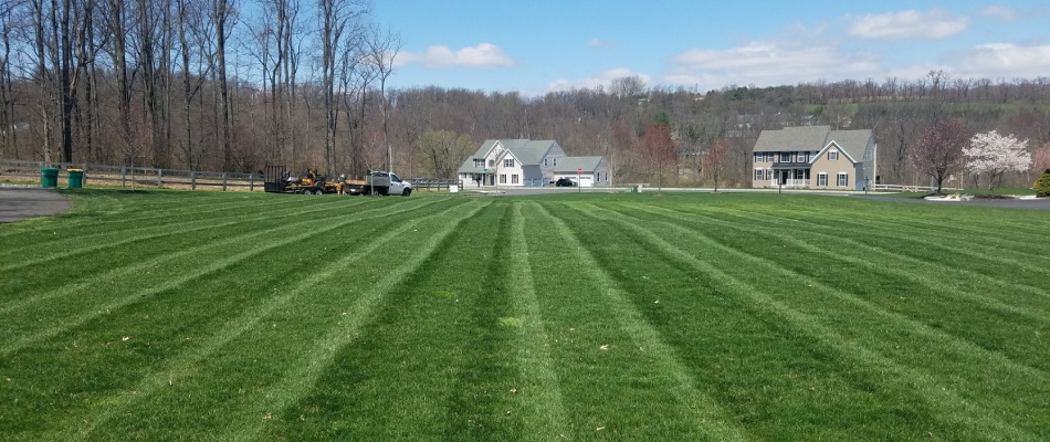 Lawn with mowing patterns in Trexlertown, PA.