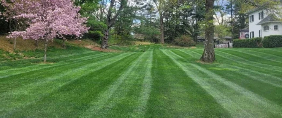 Mowed lawn on a property in Catasauqua, PA.