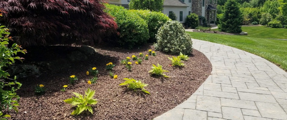 Landscape bed with mulch installed in Coopersburg, PA.
