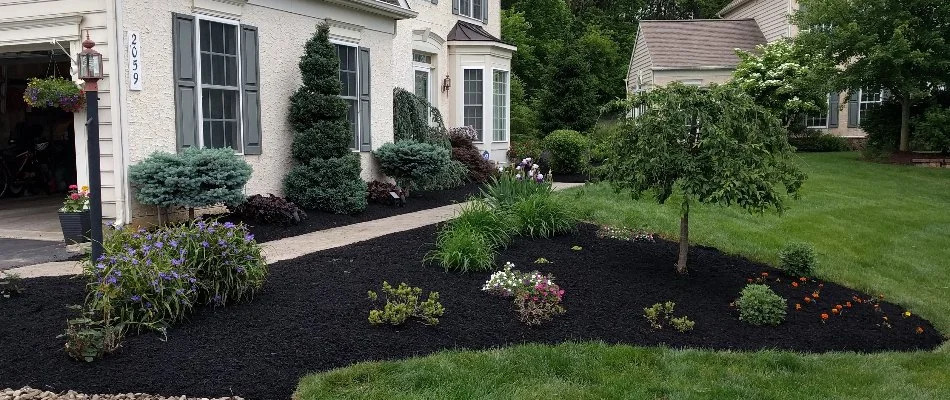 Mulched landscape bed in Barto, PA, with small plants, flowers, and shrubs.