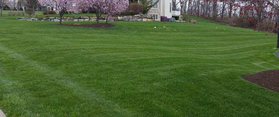Newly mowed home lawn in Macungie, Pennsylvania.