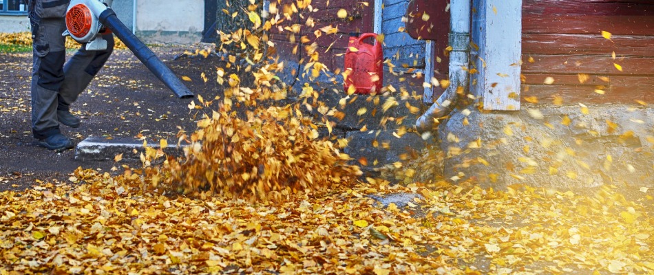 Leaves being blown from driveway in East Greenville, PA.