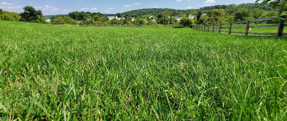 Lawn care professional using liquid to aerate an unhealthy lawn near Trexlertown, PA.