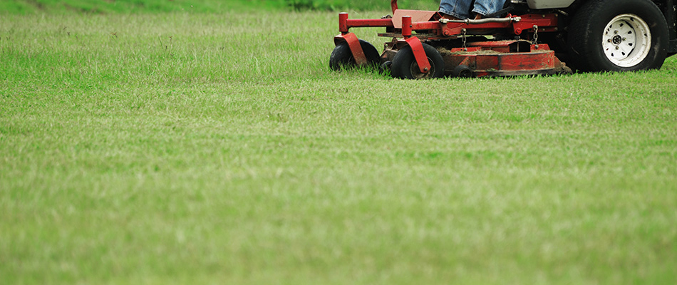 Up close of a lawn and a riding lawn mower near Orefield, PA.