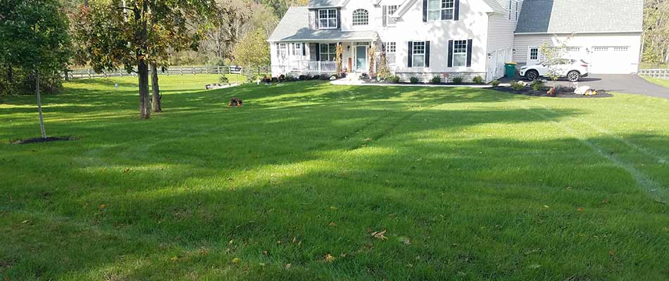 Well fertilized and weed free lawn in Trexlertown, PA.
