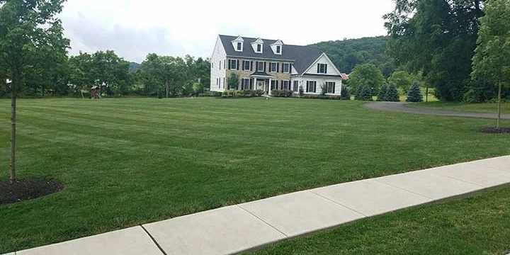 Recently mowed home lawn in Macungie, Pennsylvania.