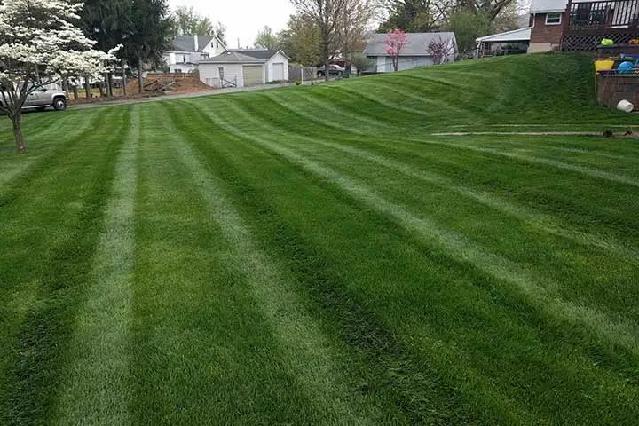 Recently mowed home lawn in East Greenville, Pennsylvania.